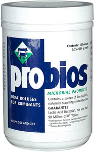 Probios Boluses - Animal Probiotic (50/bottle) - Animal Health Express