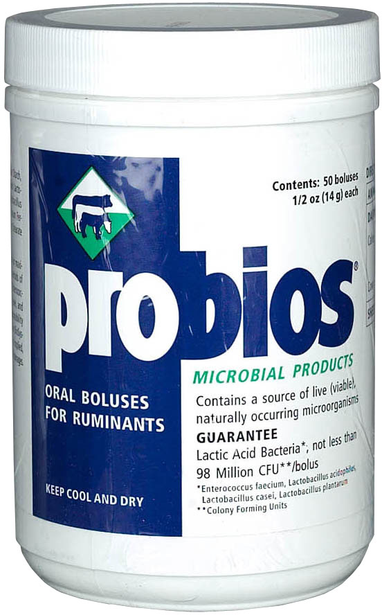 Probios Boluses - Animal Probiotic (50/bottle) - Animal Health Express