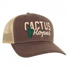 Load image into Gallery viewer, Cactus Caps - Animal Health Express