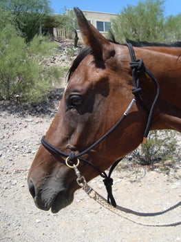 Rope Halter with Rings - Animal Health Express