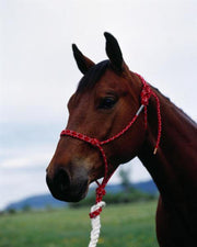 Double Diamond Rope Halter-Horse