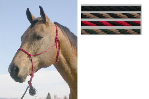 Poly Trail Halter With Lead - Animal Health Express