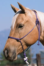 Load image into Gallery viewer, Buck Brannaman Rope Halter - Animal Health Express