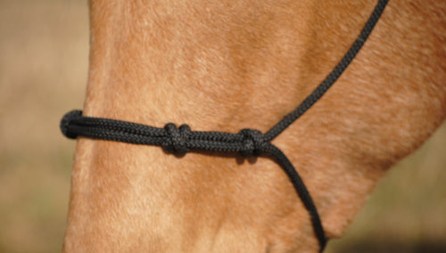 4 Knot Rope Halter - Animal Health Express