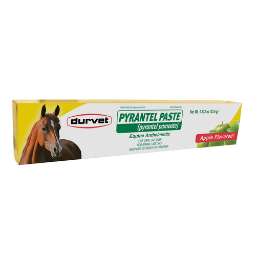 Durvet Pyrantel Paste Dewomer for Horses and Ponies
