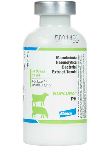 Nuplura PH Cattle Vaccine