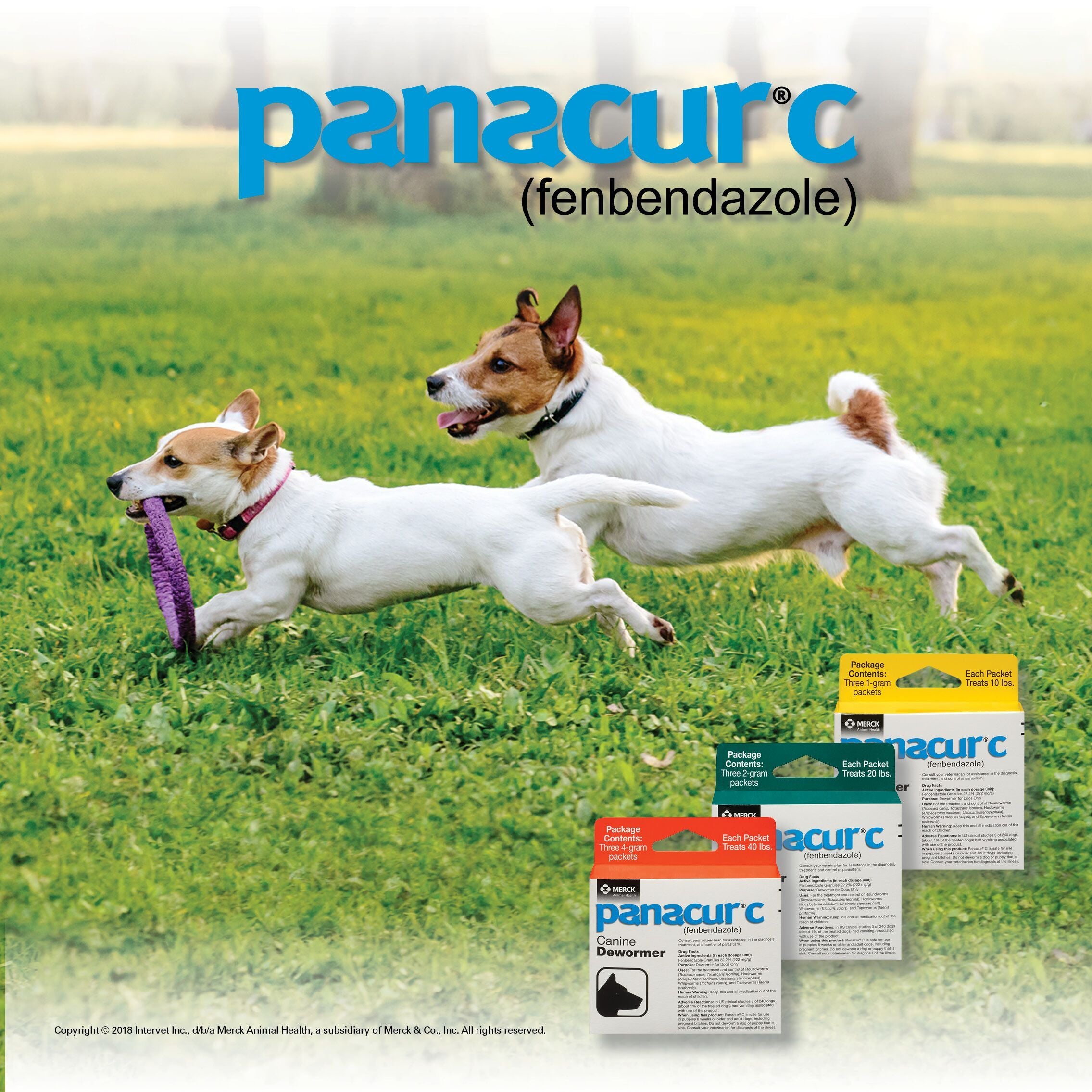 Panacur Granules Cat Cat Dewormer Penn Vet Panacur C 2gr Green