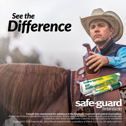 Safe-Guard Paste - Animal Health Express