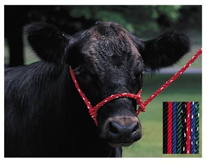 Rope Halter – Cow - Animal Health Express
