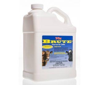 Y-Tex Brute Insecticide for Cattle and Horses – Animal Health Express
